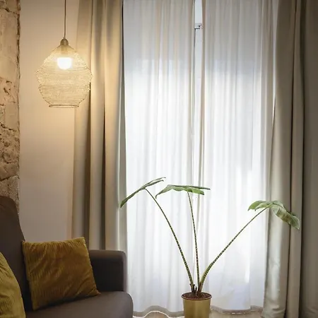 Apartment Apg Palau Salieti 2